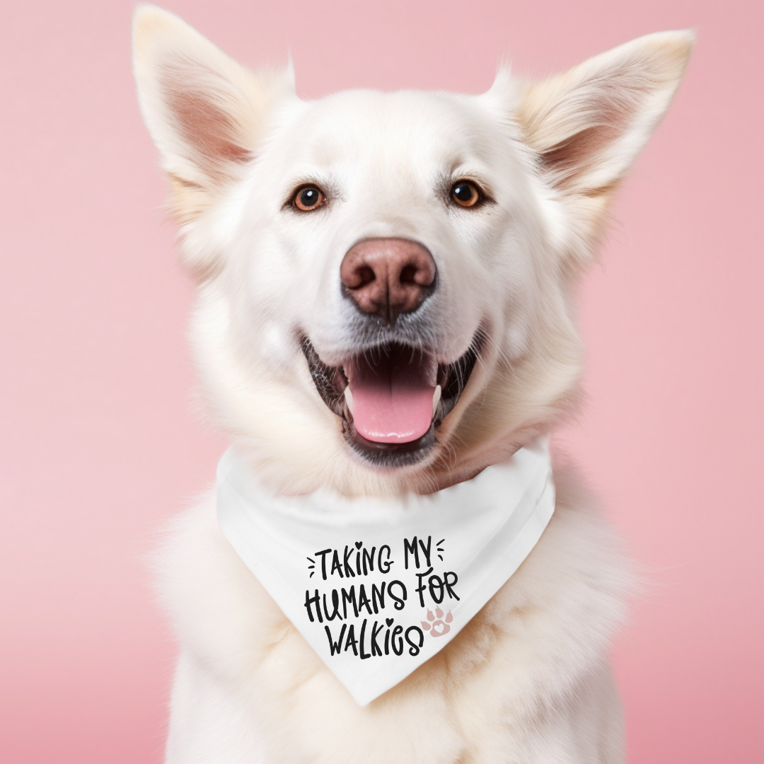 Everyday Dog Bandanas