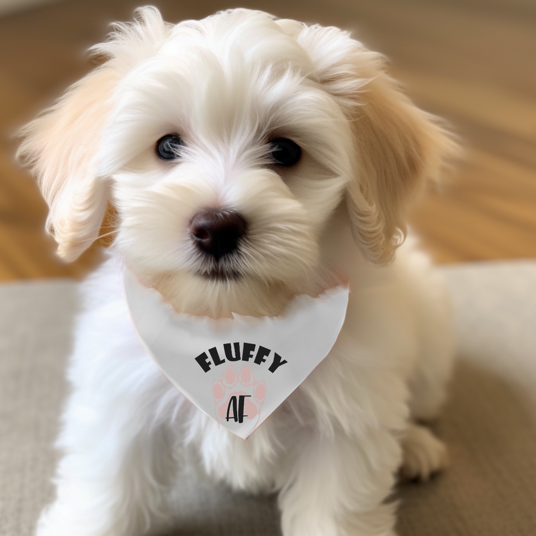 Everyday Dog Bandanas