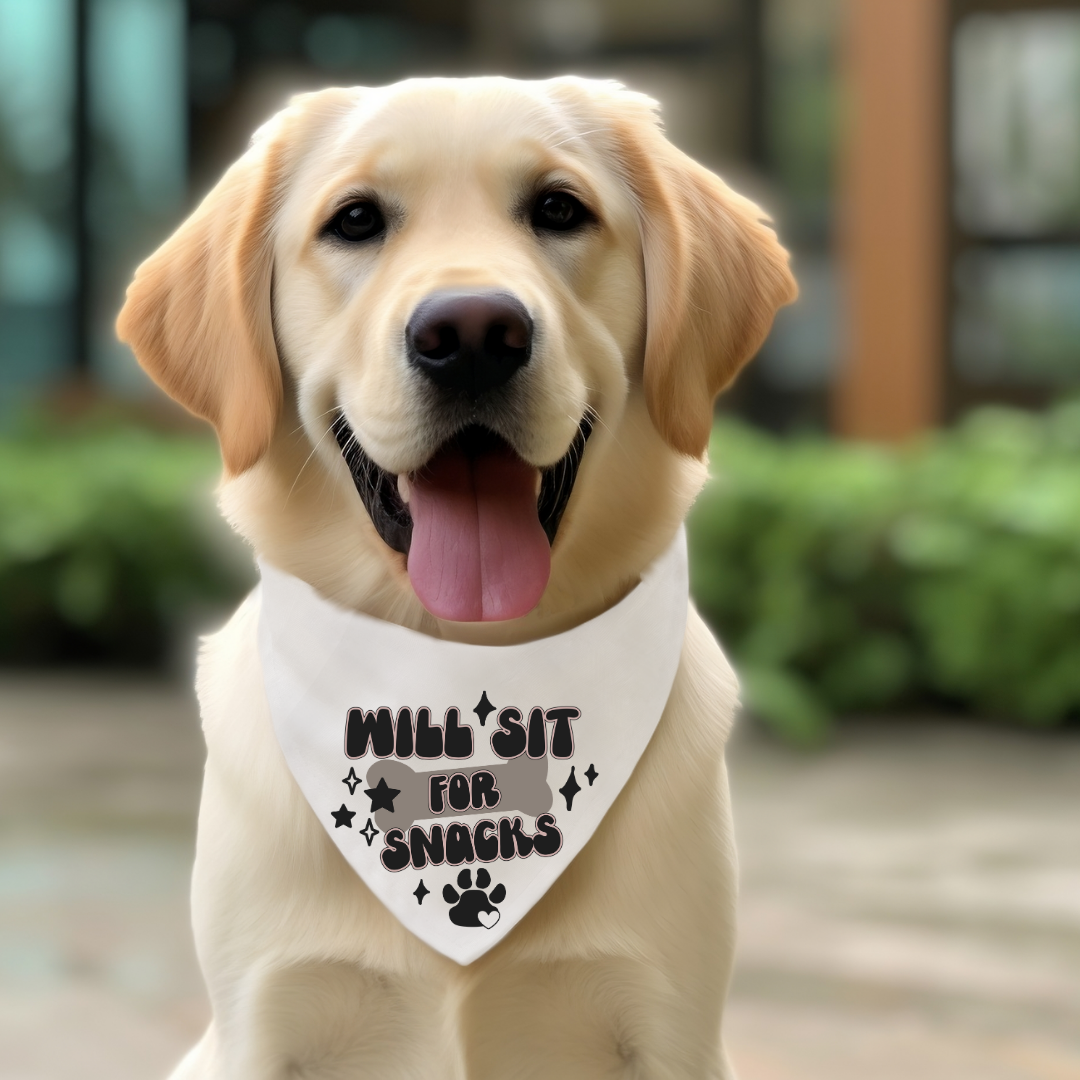 Everyday Dog Bandanas