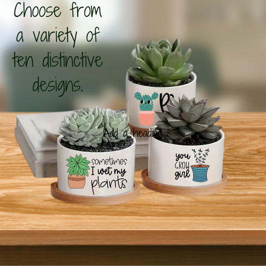 Punny Succulent Planters - Ceramic with Bamboo Tray