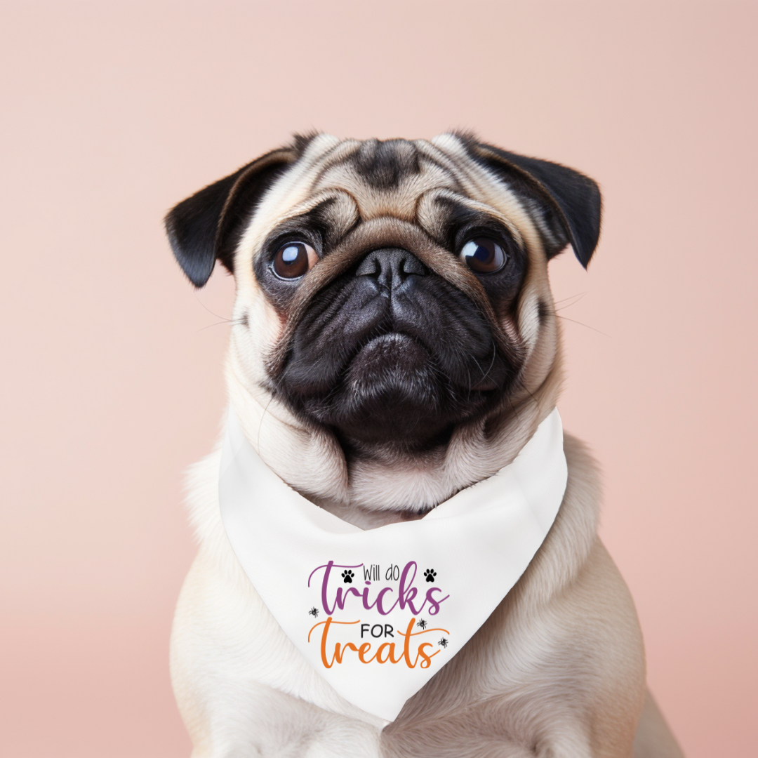 Halloween Dog Bandanas