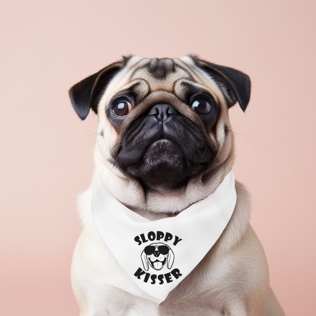 Everyday Dog Bandanas