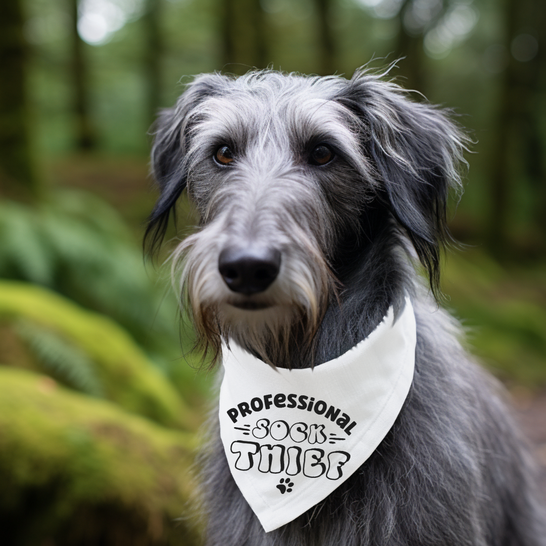 Everyday Dog Bandanas