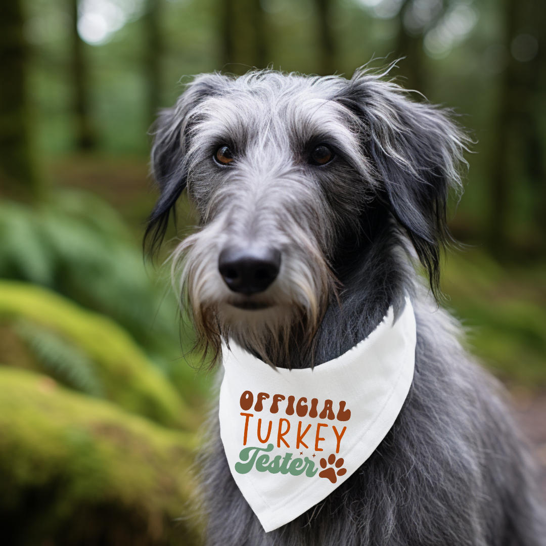 Thanksgiving Dog Bandanas