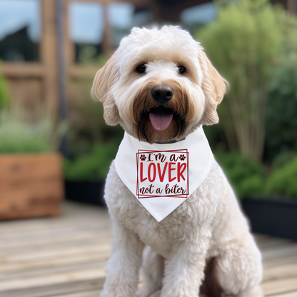 Valentine's Day Dog Bandanas