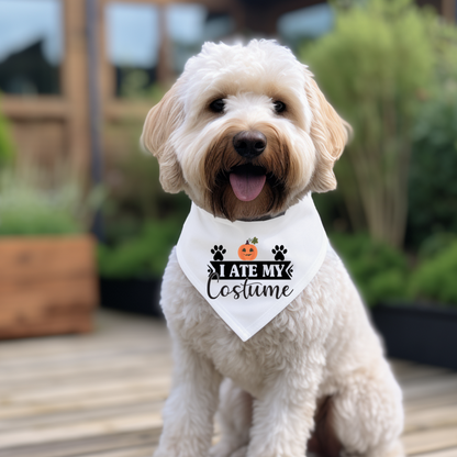 Halloween Dog Bandanas