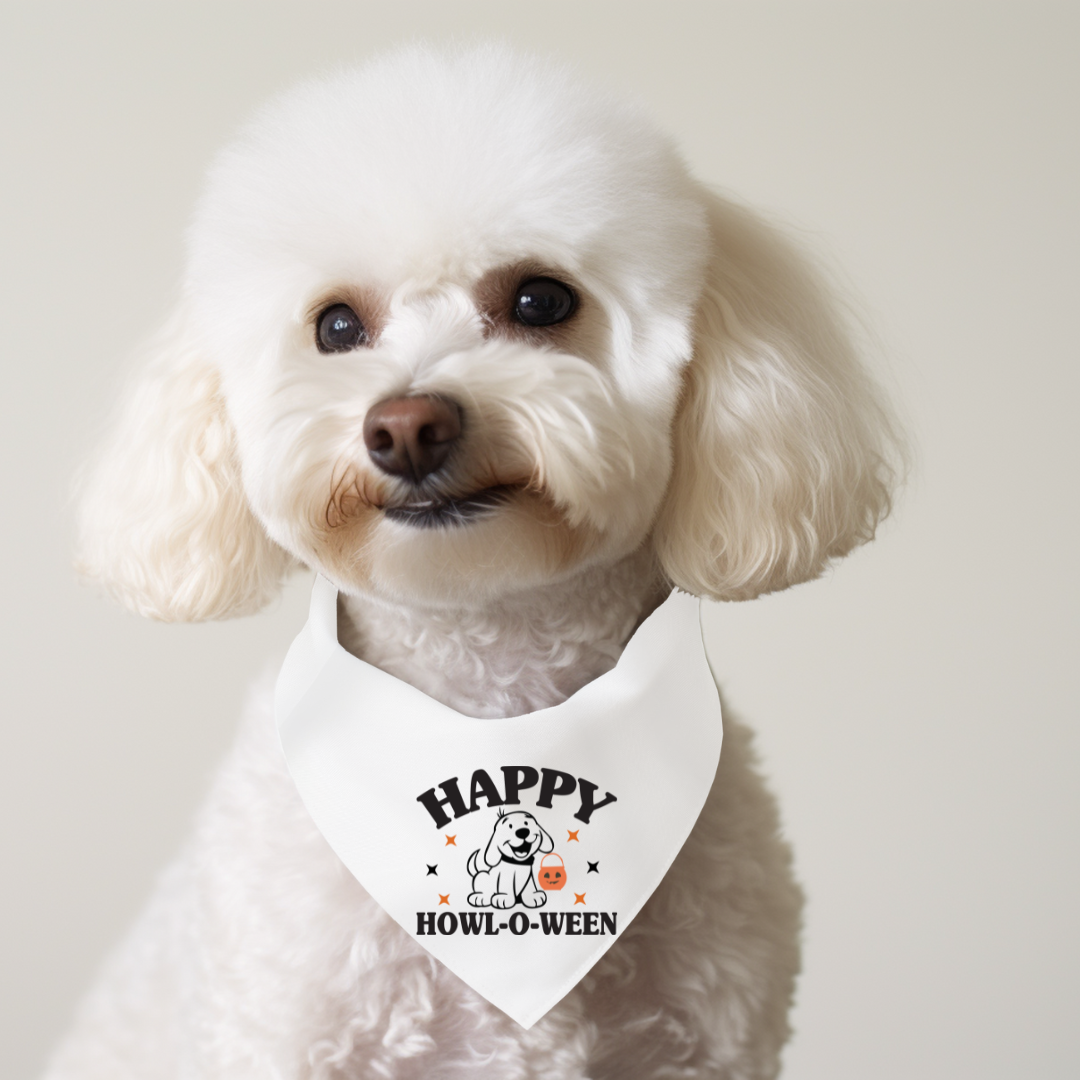 Halloween Dog Bandanas