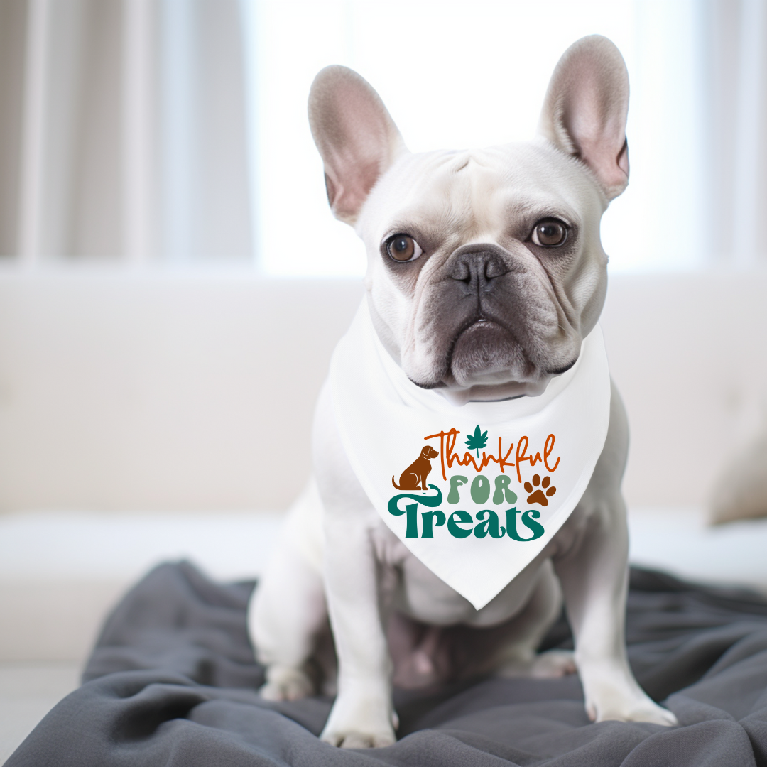 Thanksgiving Dog Bandanas