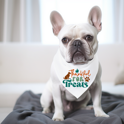 Thanksgiving Dog Bandanas