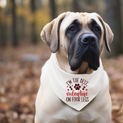 Valentine's Day Dog Bandanas