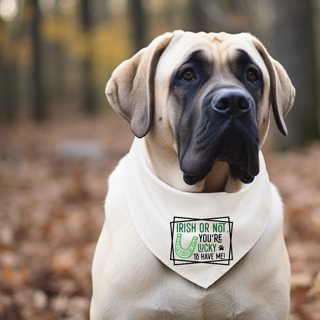 St. Patrick's Day Dog Bandanas