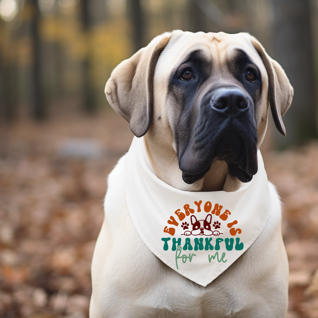 Thanksgiving Dog Bandanas