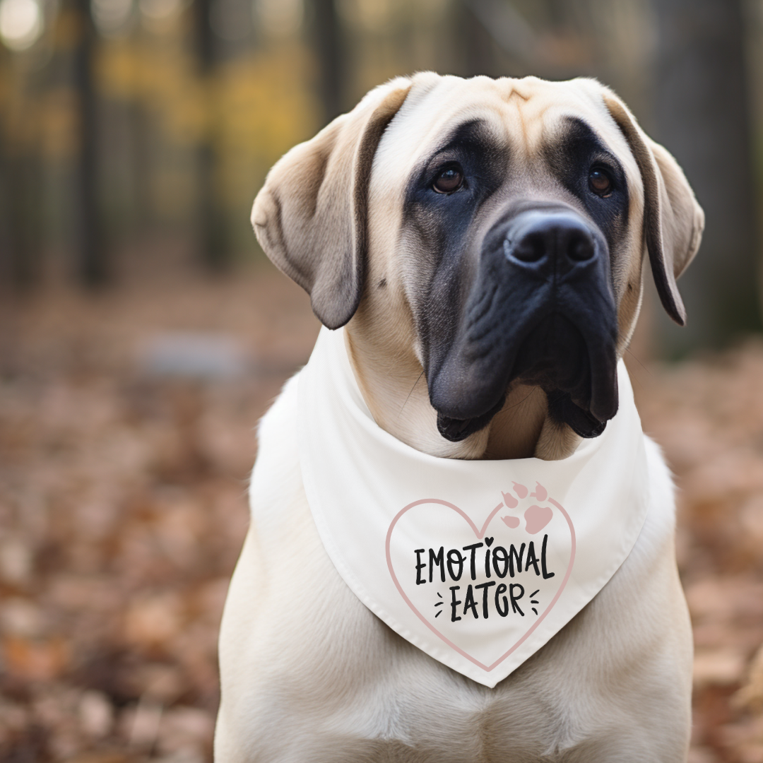 Everyday Dog Bandanas