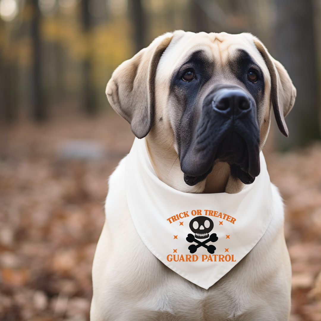 Halloween Dog Bandanas