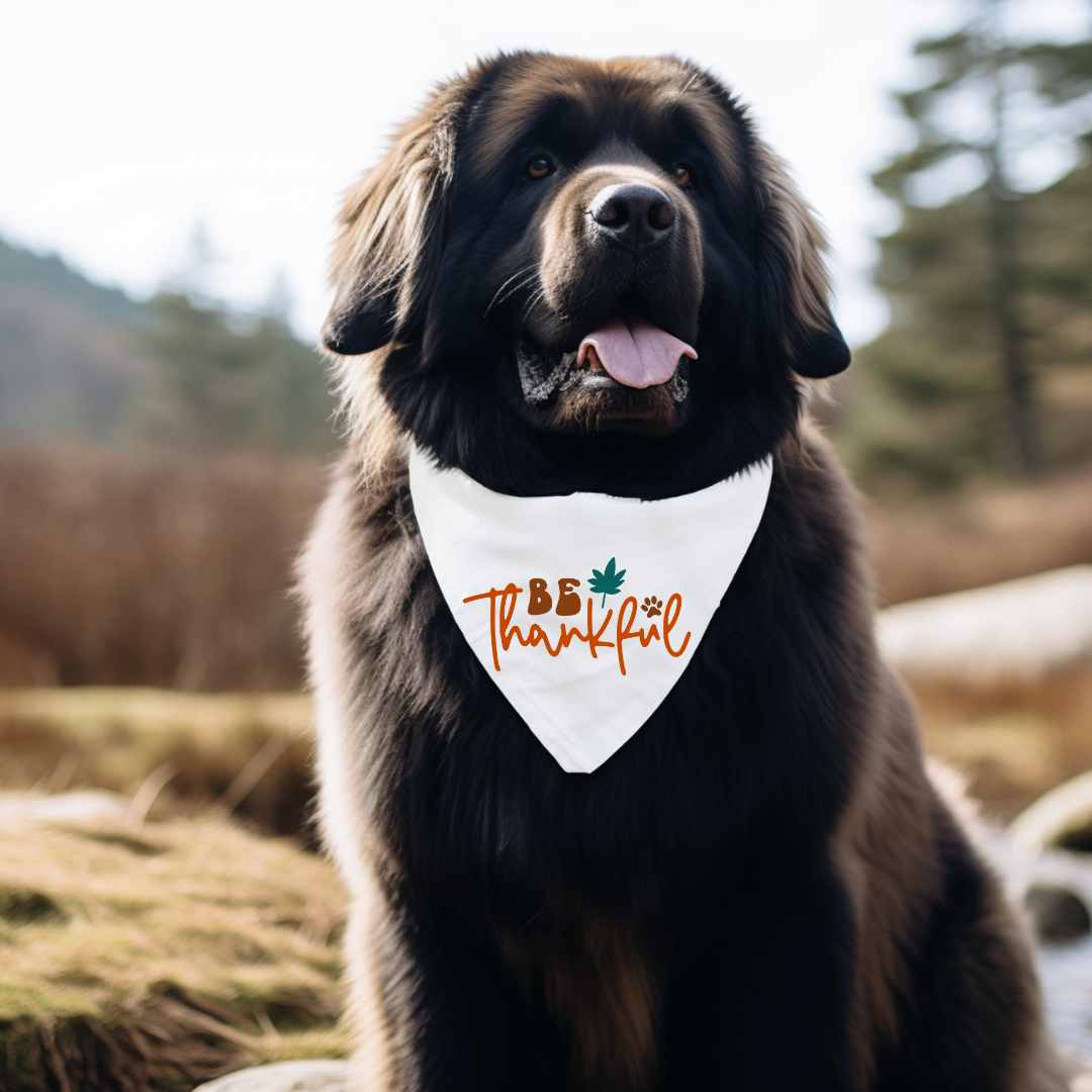 Thanksgiving Dog Bandanas