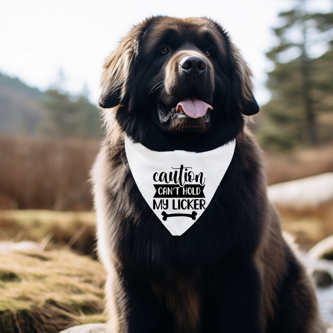 Everyday Dog Bandanas