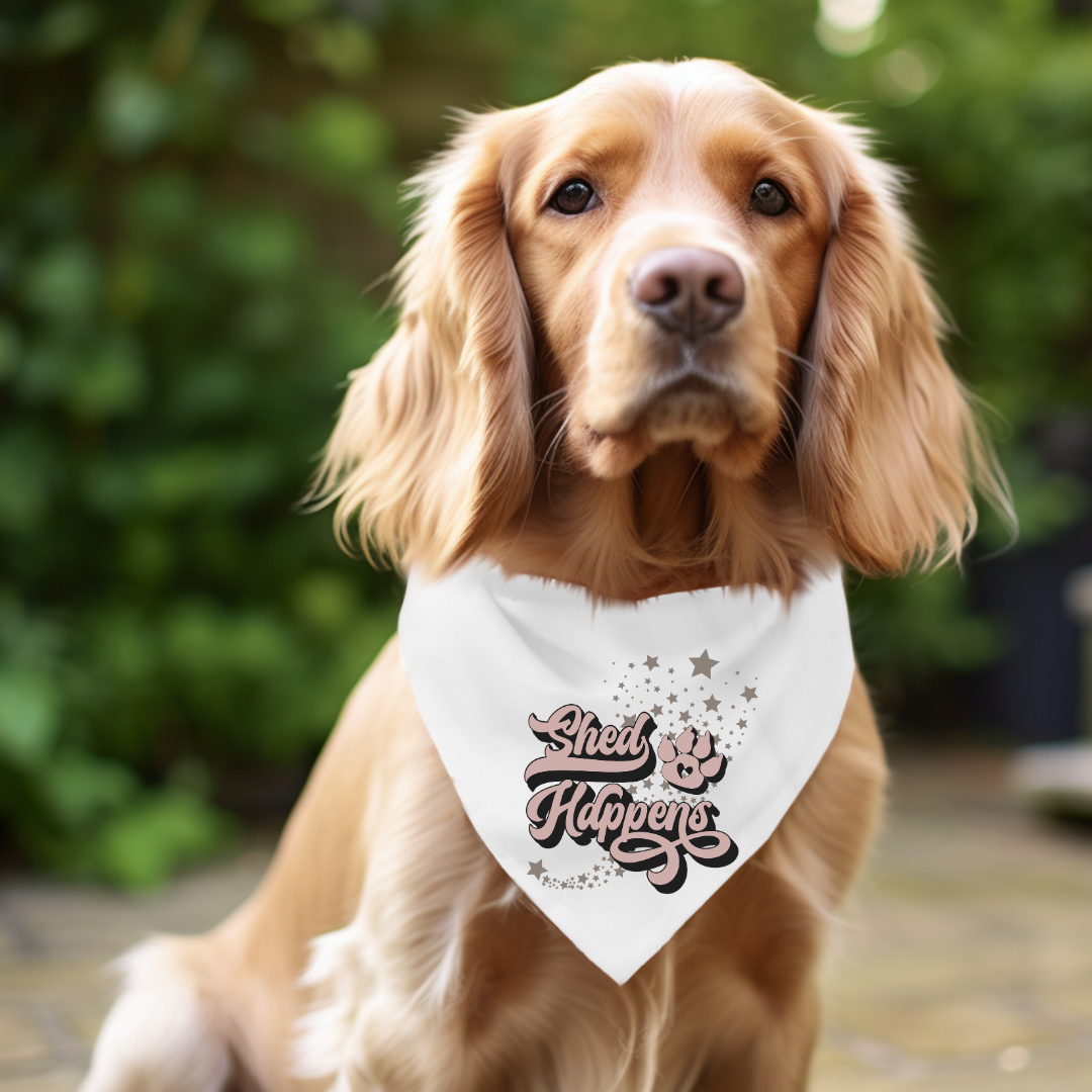 Everyday Dog Bandanas