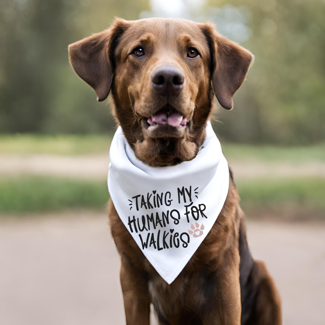 Everyday Dog Bandanas