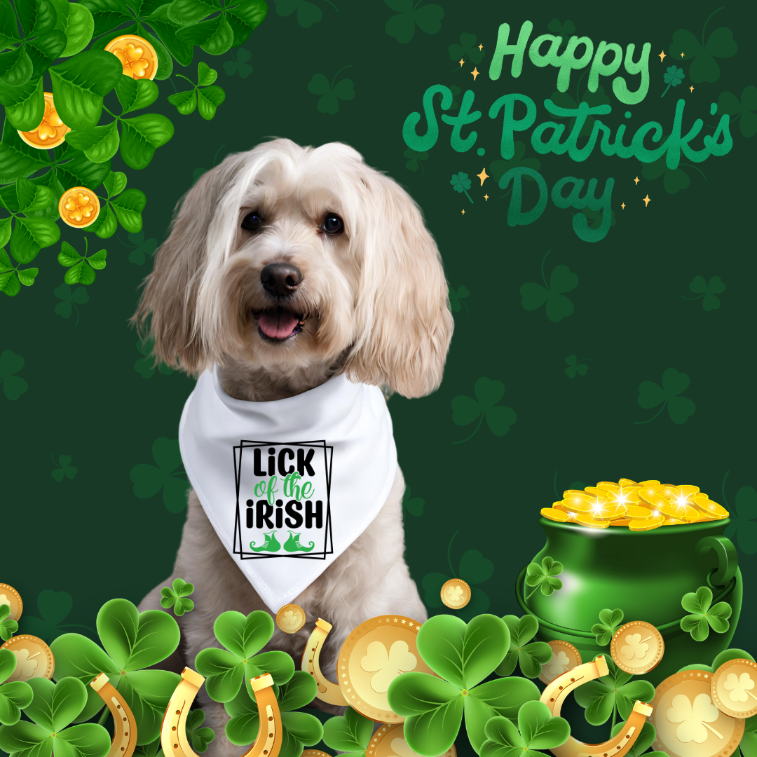 St. Patrick's Day Dog Bandanas