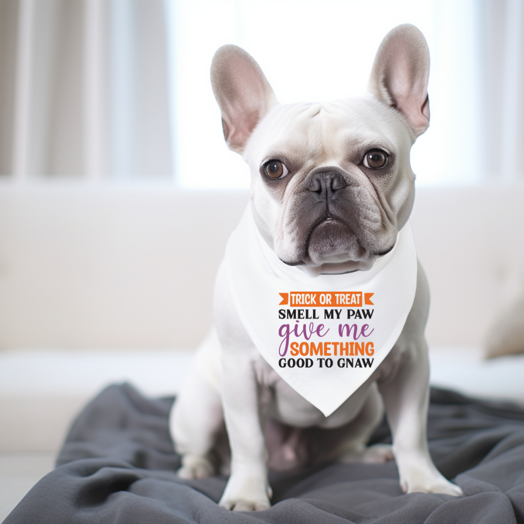 Halloween Dog Bandanas